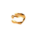Anillo Paliz