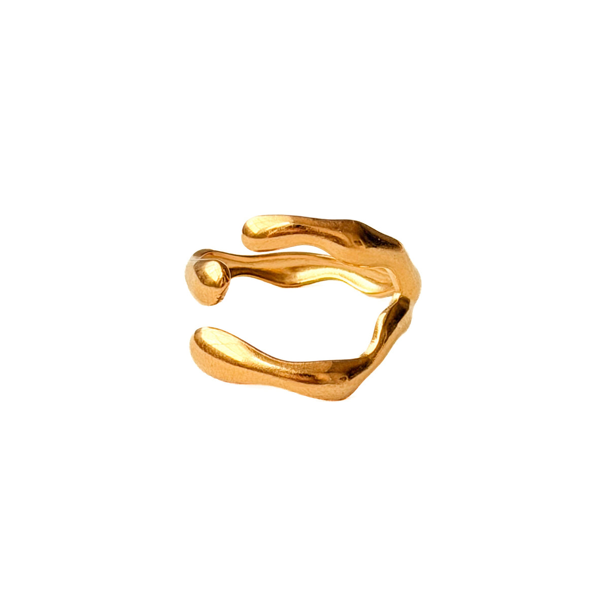 Anillo Paliz