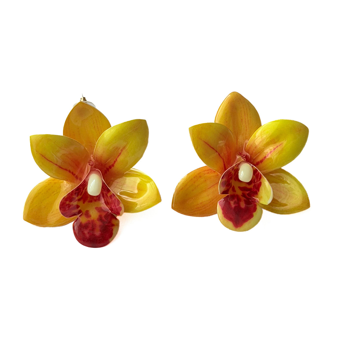 Arete Orquídea