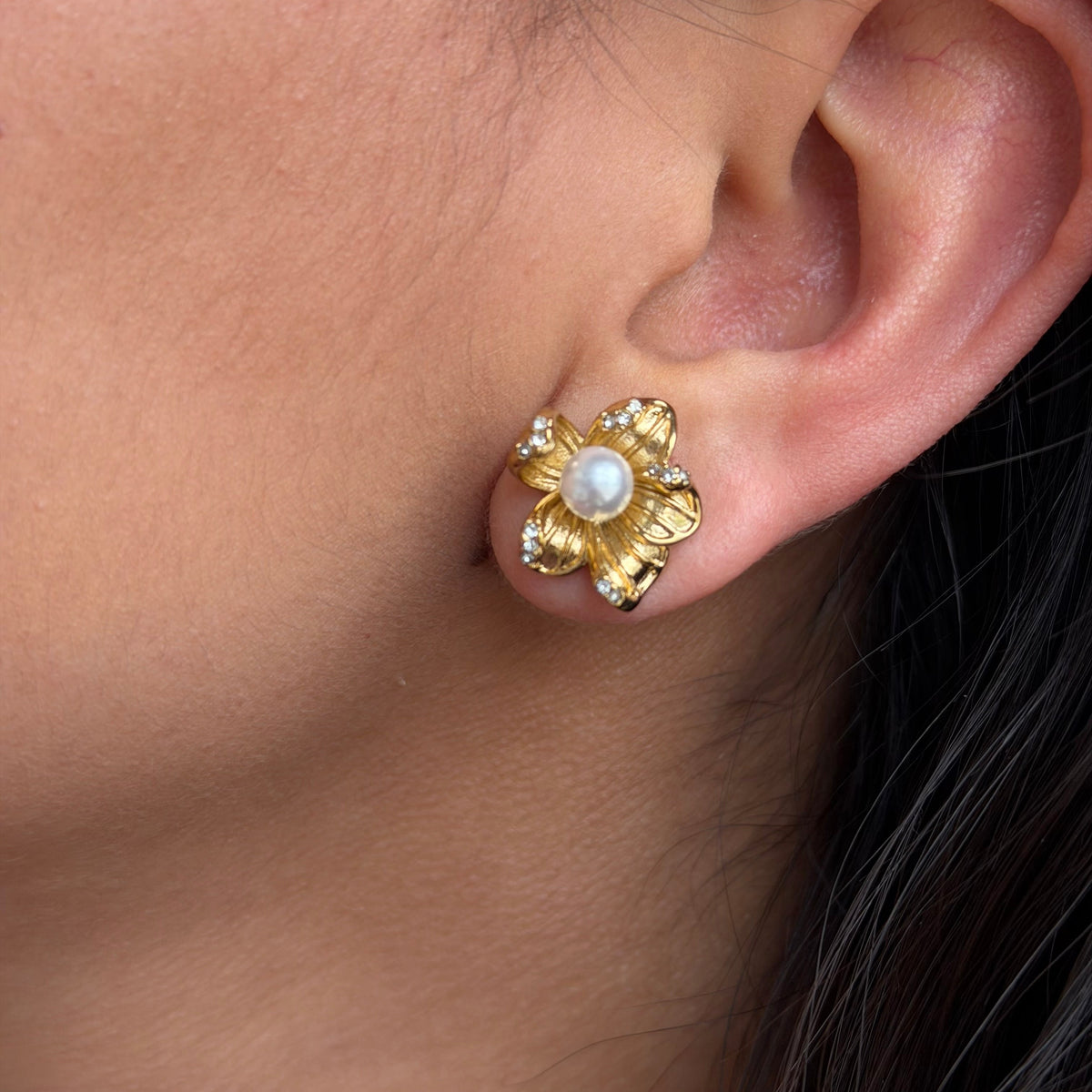Arete Petalia