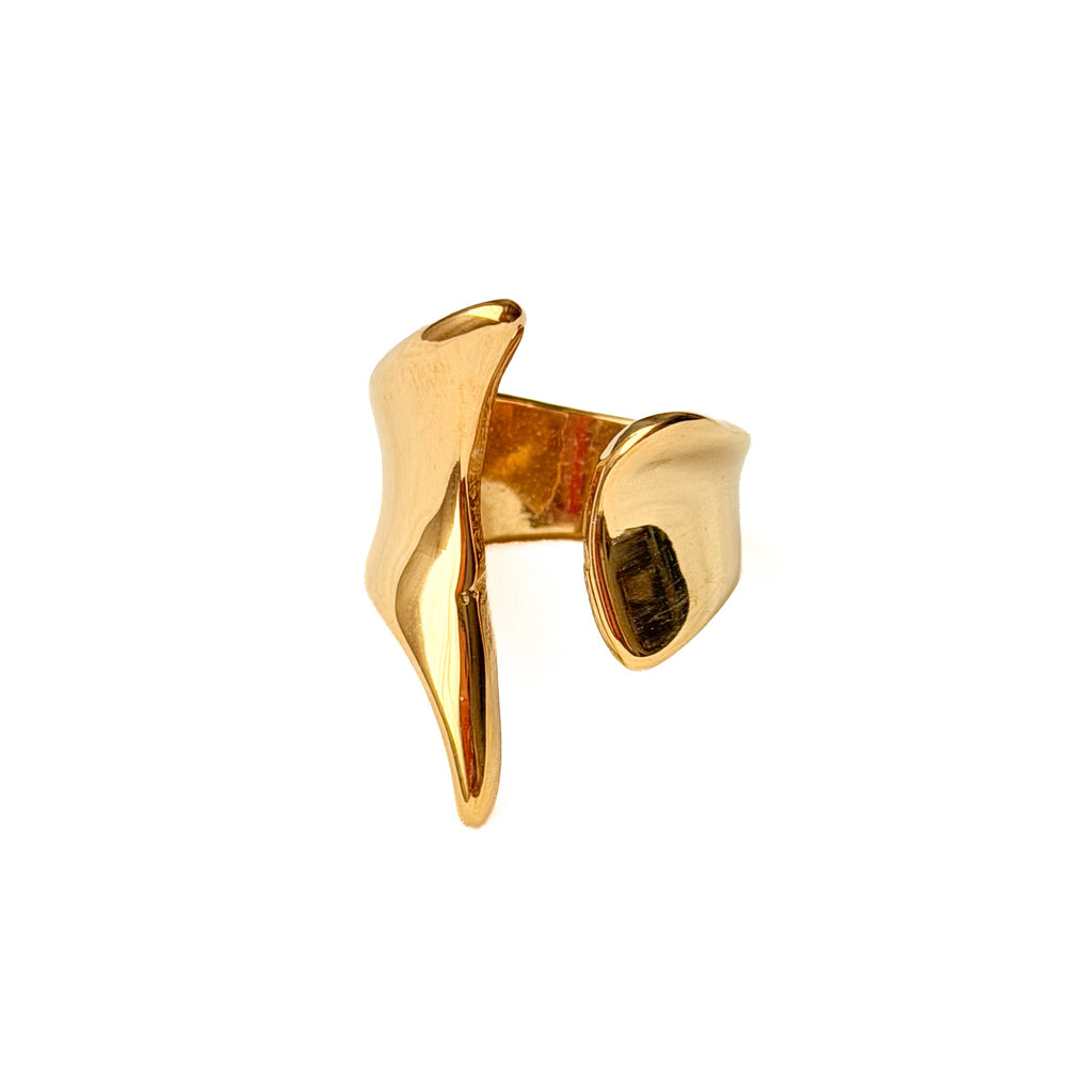 Anillo Hug
