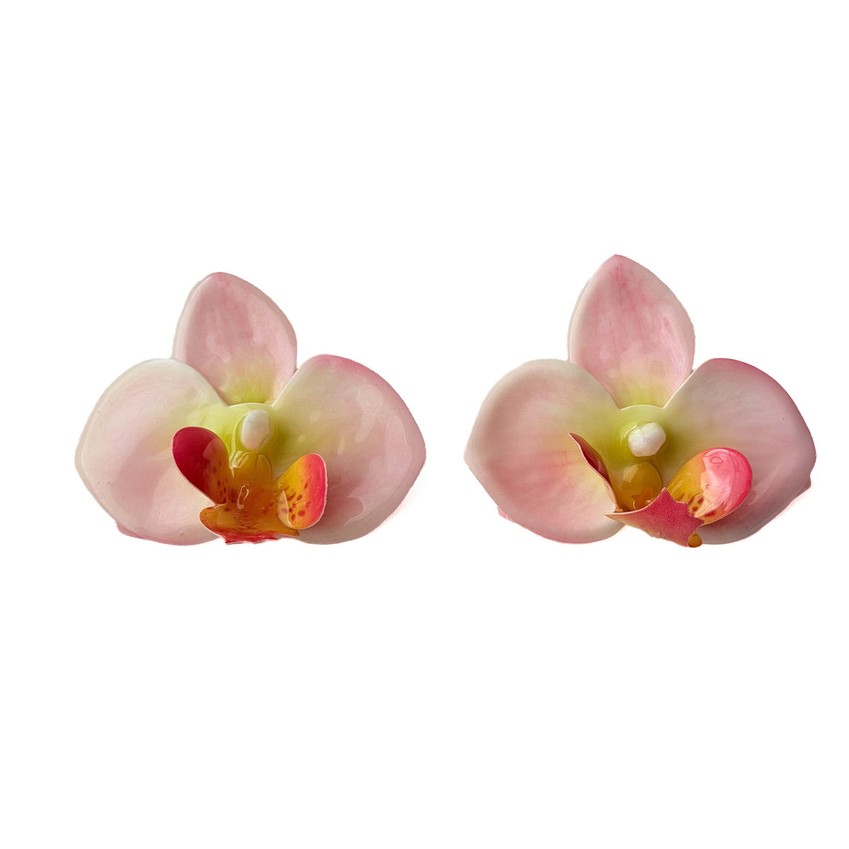Arete Orquídea